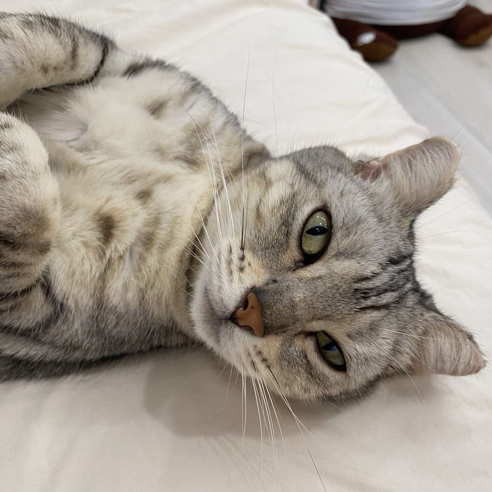 Meet your Posher, Jassie